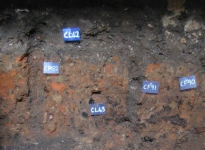 destruction Horizon (2)